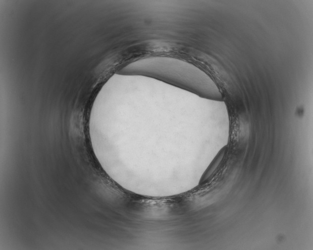 X0000116320524201001131006