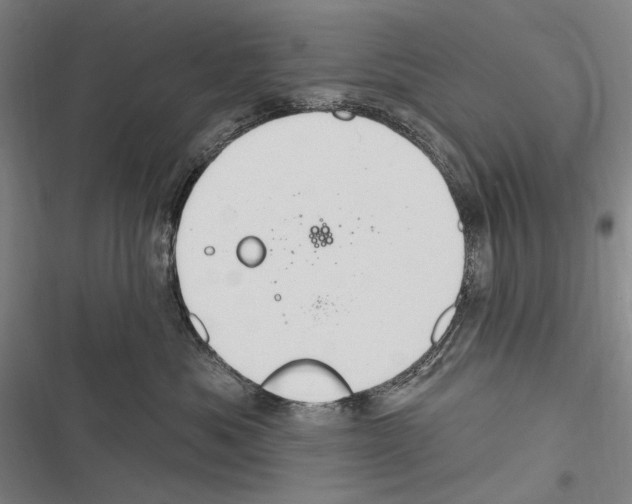 X0000116320525201001131006