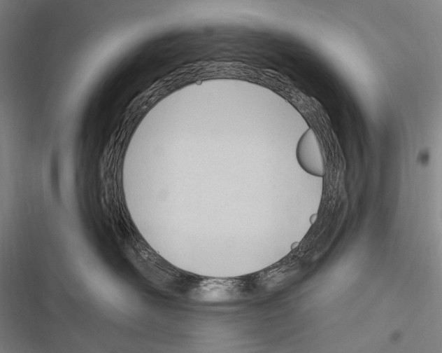 X0000116320526201001131006