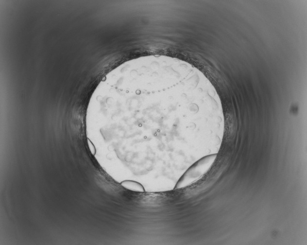 X0000116320527201001131006