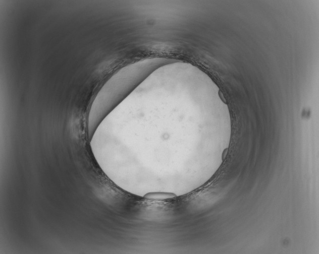 X0000116320528201001131006