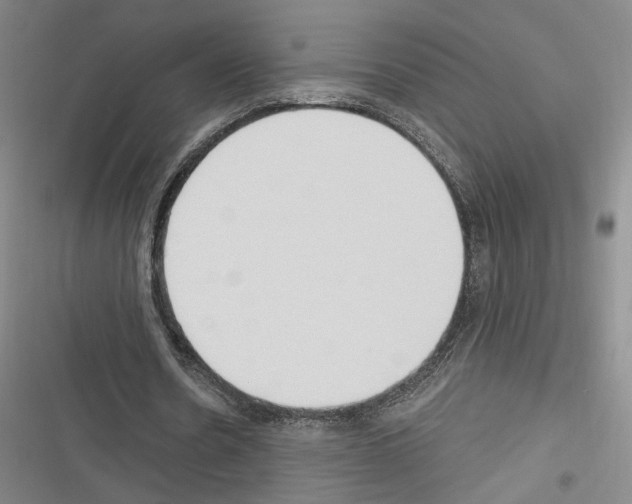 X0000116320530201001131005