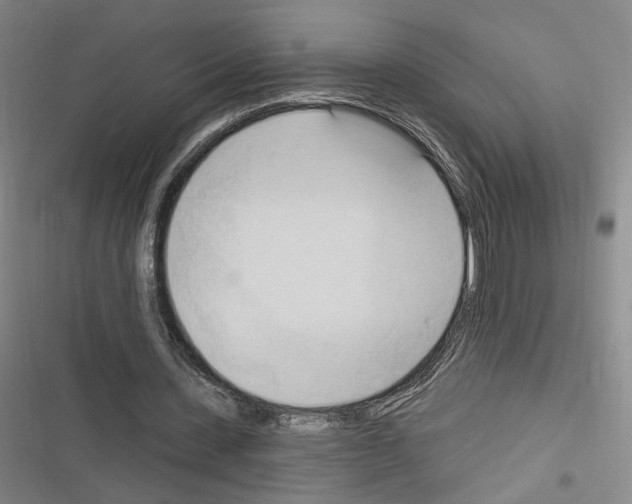 X0000116320531201001131005