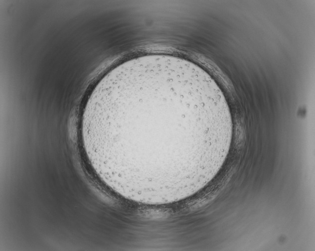 X0000116320533201001131005