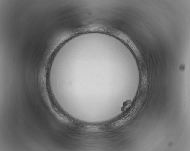 X0000116320534201001131005