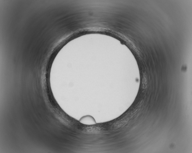 X0000116320535201001131005