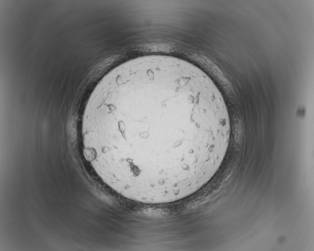 X0000116320537201001131005