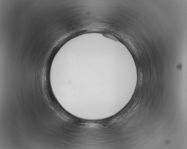 X0000116320539201001131005