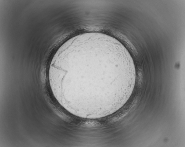 X0000116320541201001131005