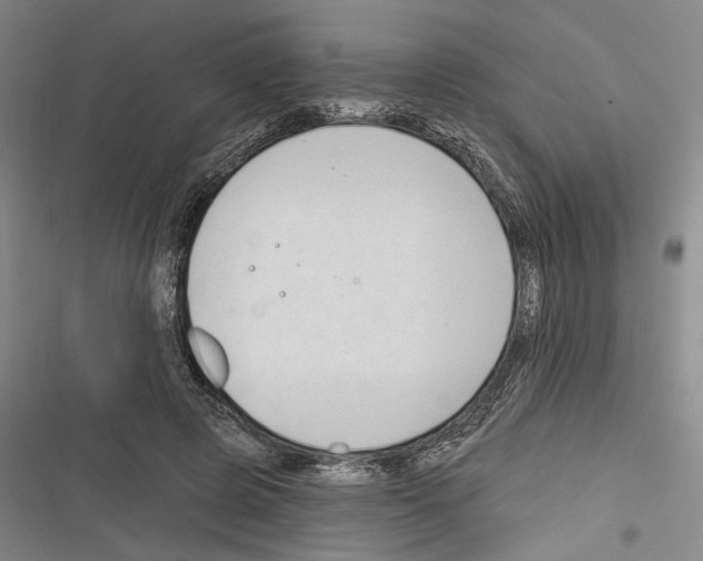 X0000116320545201001131005