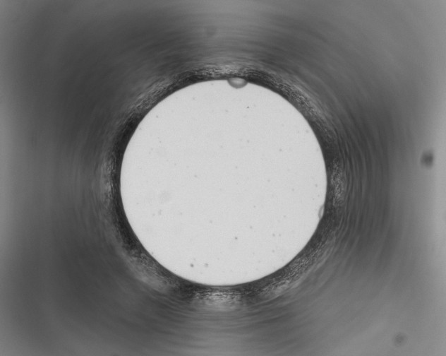 X0000116320546201001131005