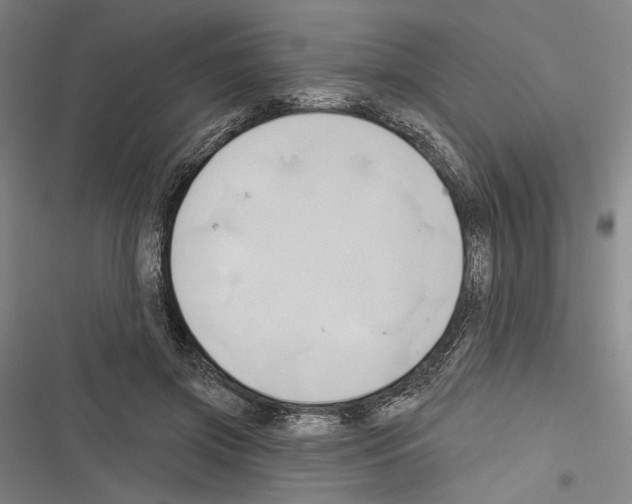 X0000116320549201001131005