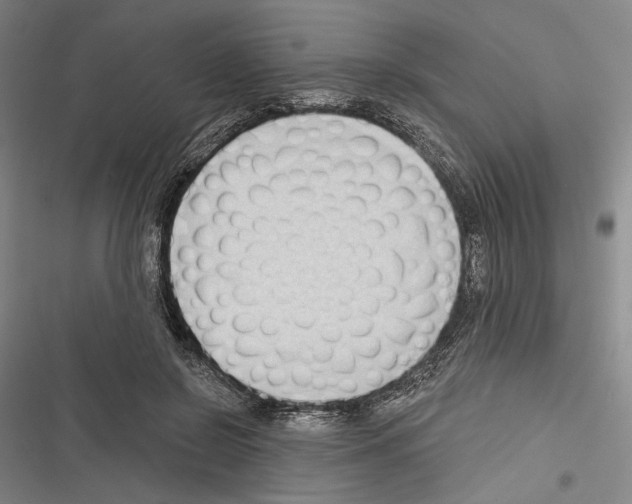 X0000116320550201001131005