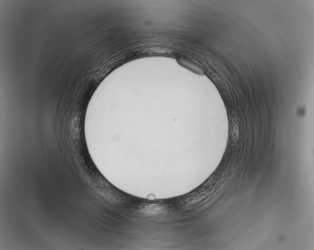 X0000116320551201001131005