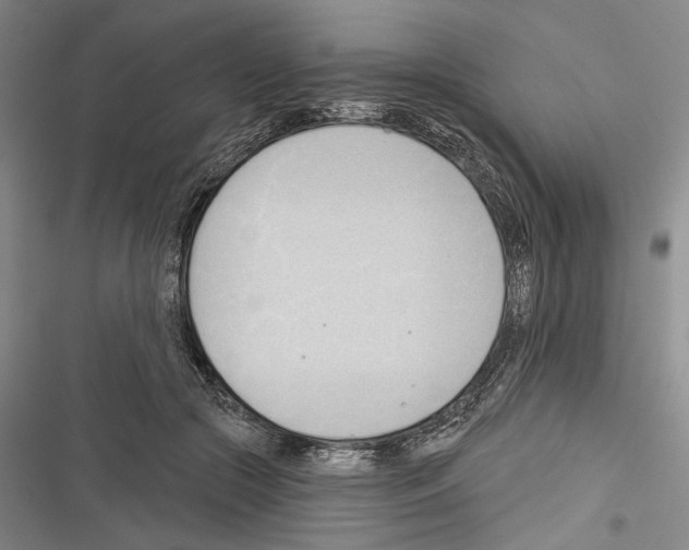 X0000116320553201001131006