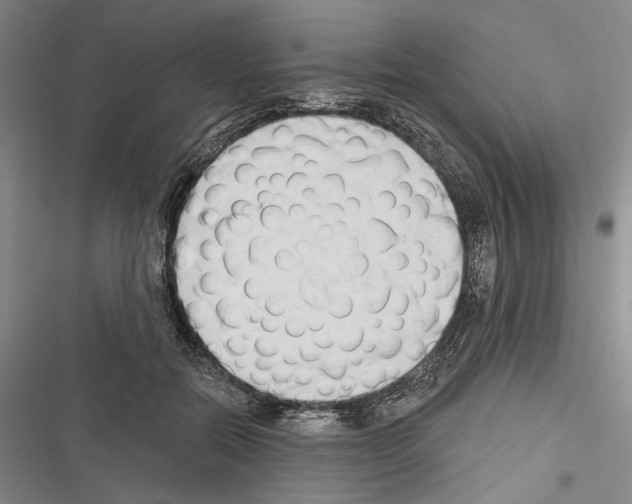 X0000116320554201001131006