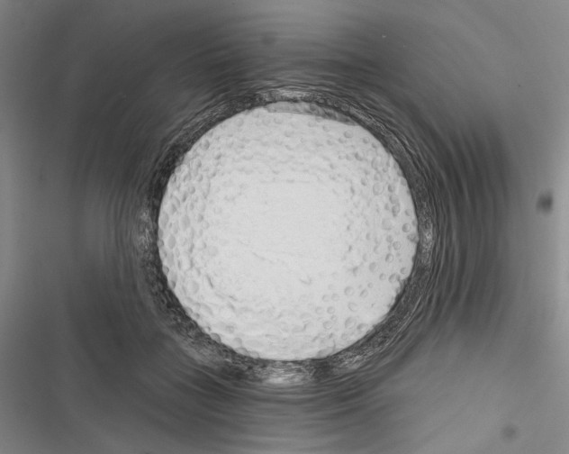 X0000116320555201001131006