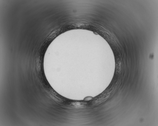 X0000116320558201001131006