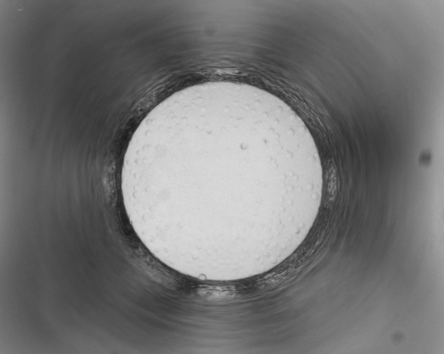 X0000116320559201001131006