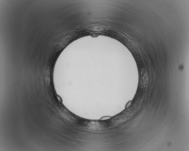 X0000116320562201001131006