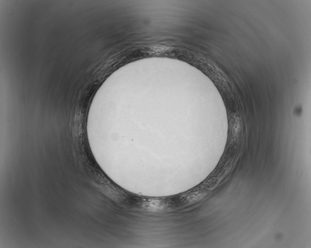 X0000116320565201001131006