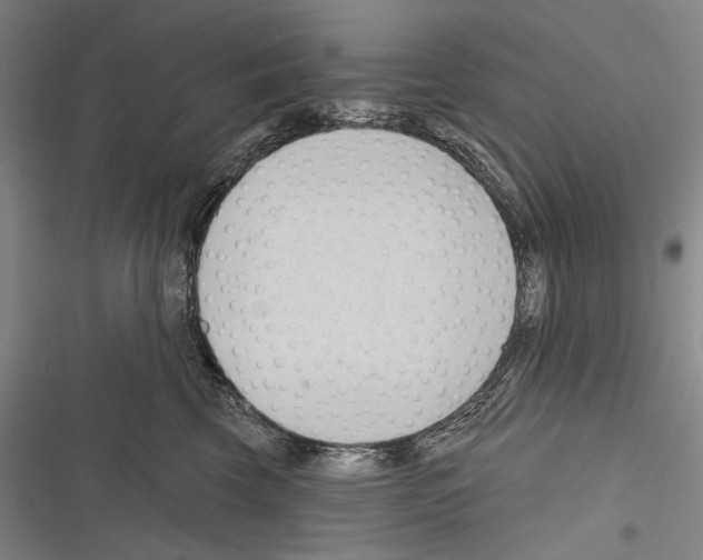 X0000116320569201001131006