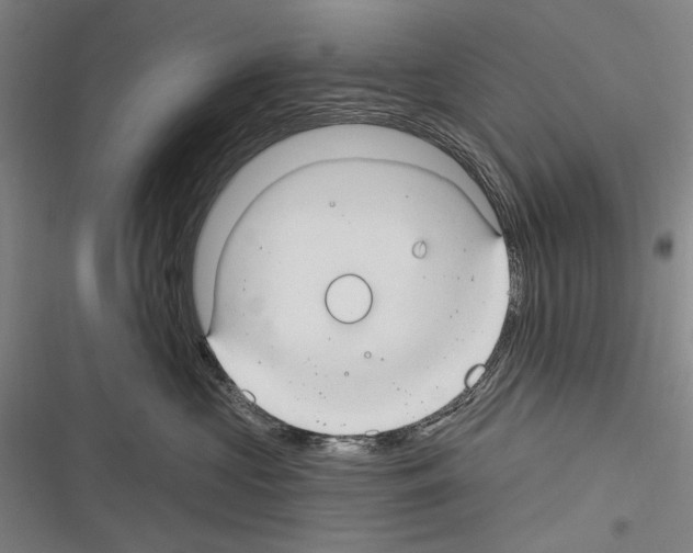 X0000116320573201001131006