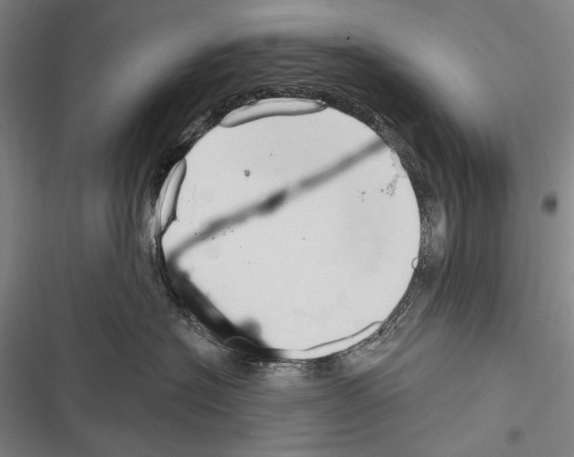 X0000116320574201001131006