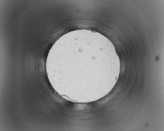 X0000116320575201001131006