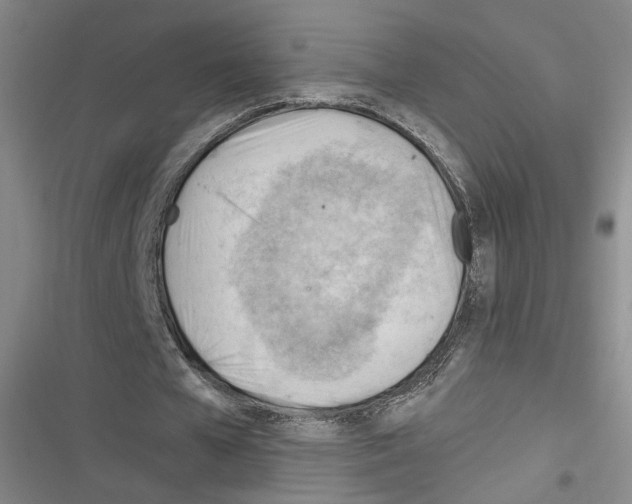 X0000116320577201001131005