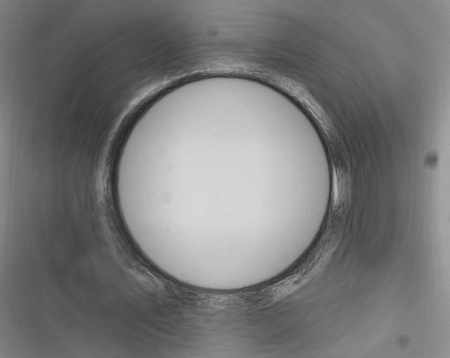 X0000116320579201001131005