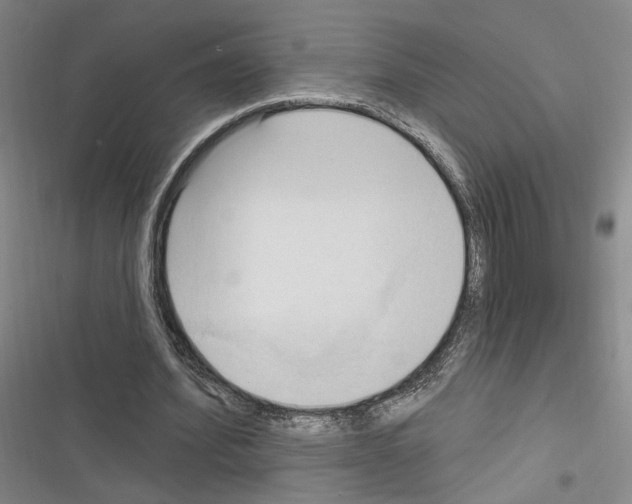 X0000116320580201001131005