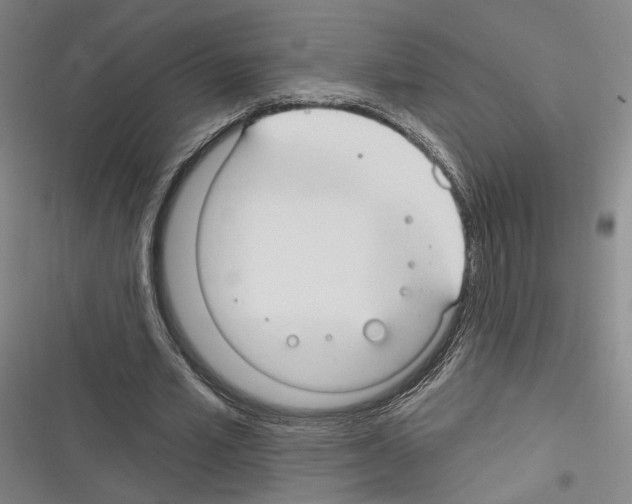 X0000116320581201001131005