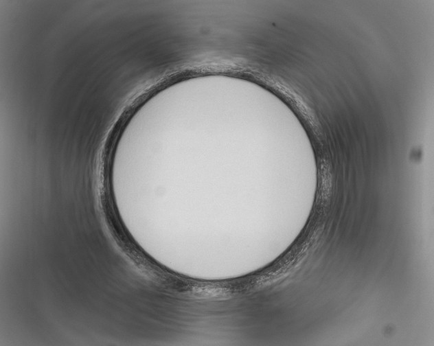 X0000116320582201001131005