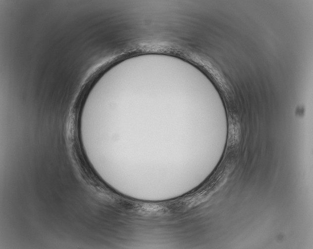 X0000116320583201001131005