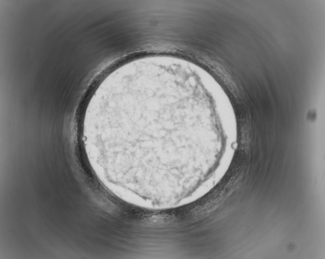 X0000116320584201001131005