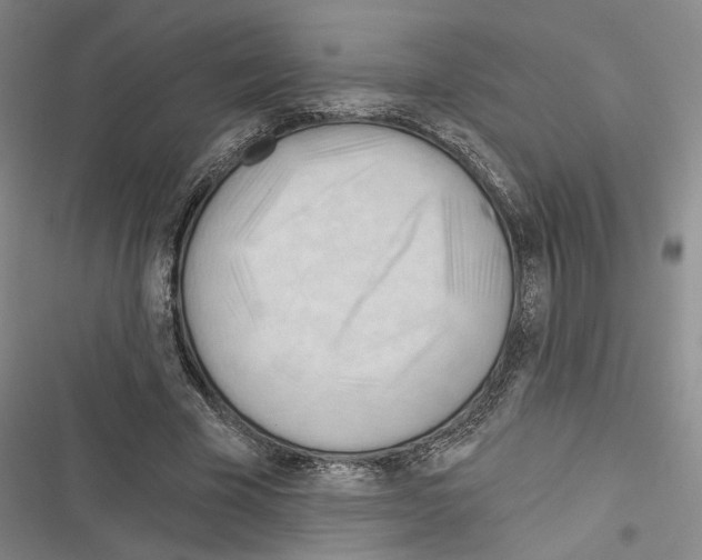 X0000116320585201001131005