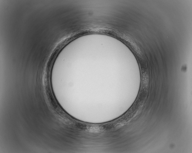 X0000116320587201001131005