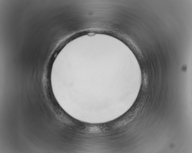 X0000116320588201001131005