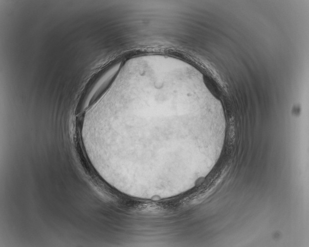 X0000116320589201001131005