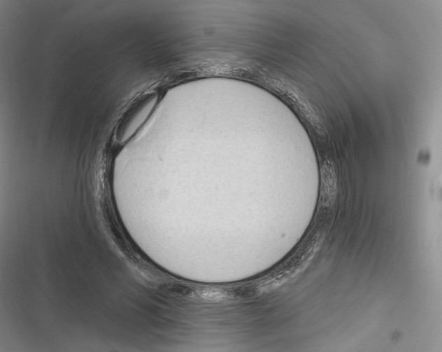 X0000116320590201001131005