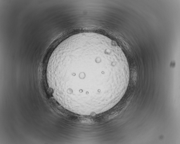 X0000116320591201001131005