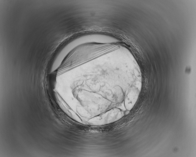 X0000116320592201001131005