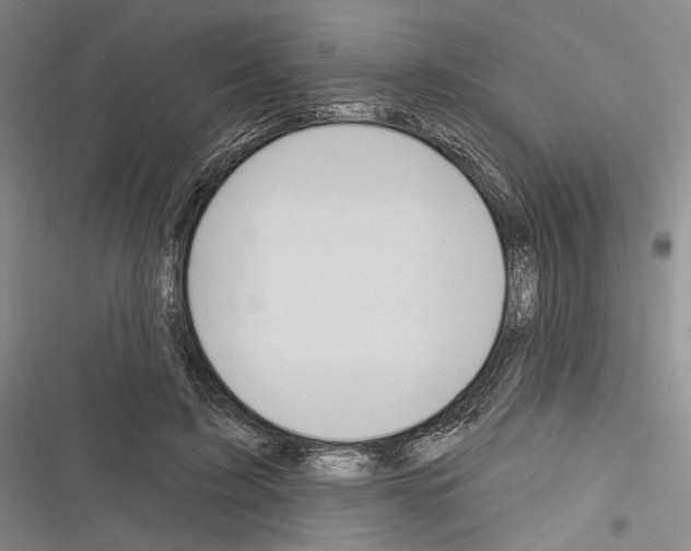 X0000116320595201001131005