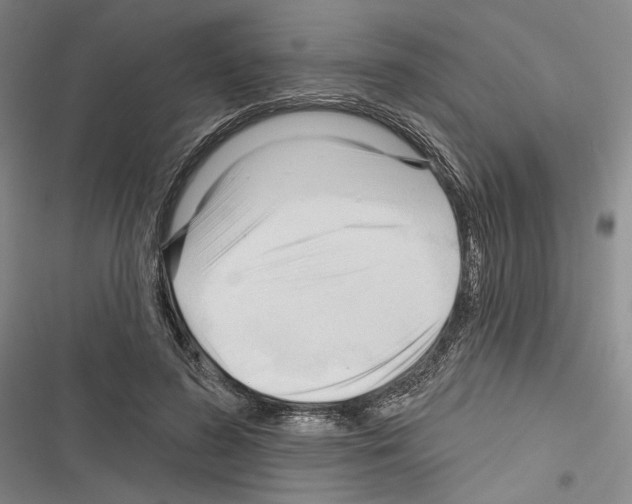 X0000116320596201001131005