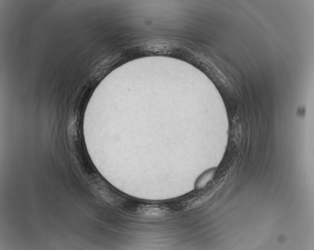 X0000116320597201001131005