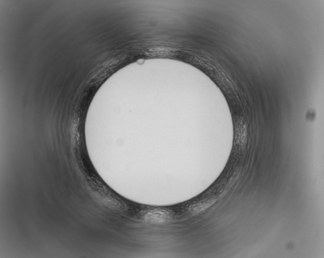 X0000116320599201001131005