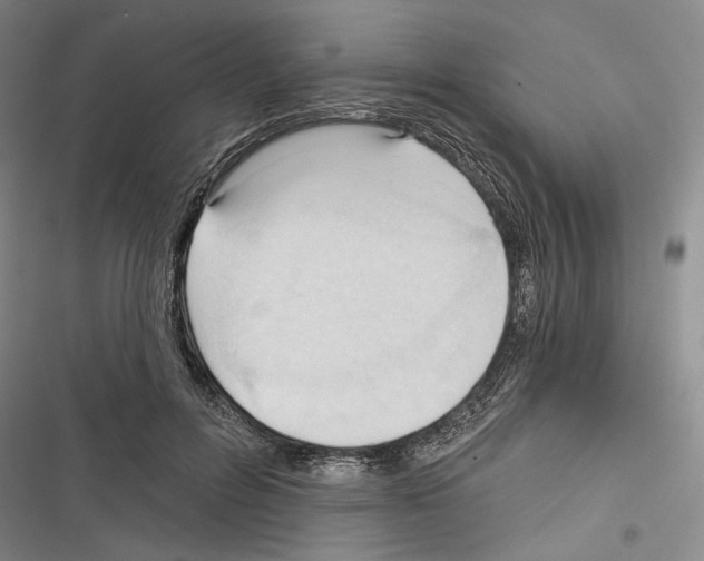 X0000116320600201001131005