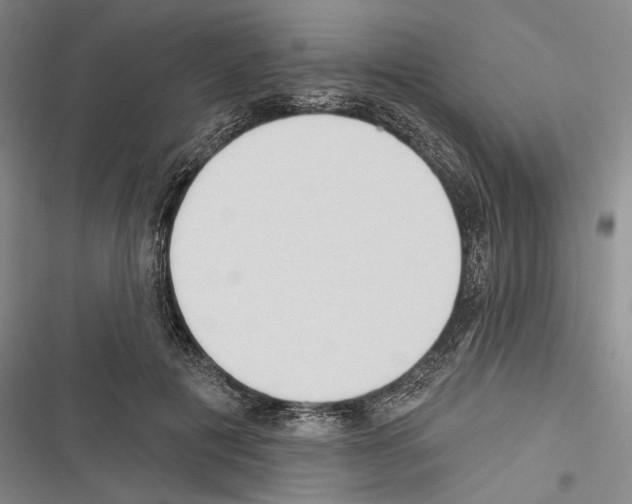 X0000116320601201001131005