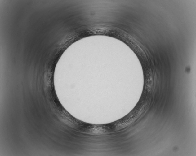 X0000116320604201001131005